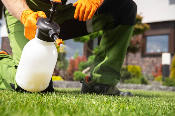 Best Pest Control for Businesses  in Byng, OK
