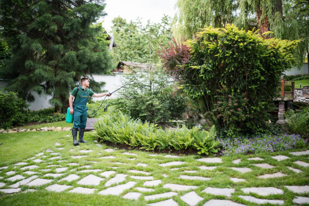 Best Pest Prevention Services  in Byng, OK