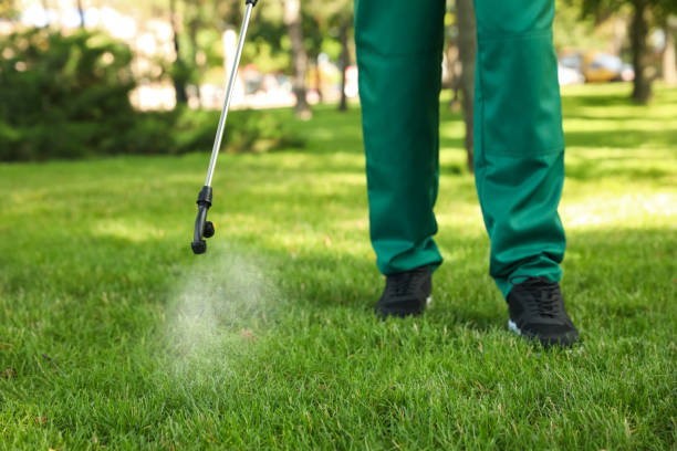 Best Best Pest Control Companies  in Byng, OK