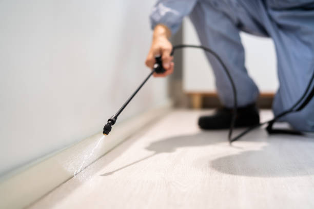 Best Cockroach Control Services  in Byng, OK