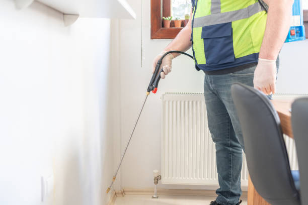 Best Affordable Pest Control Services  in Byng, OK